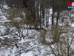 Prodej rybníku, Dolní Hořice - Pořín, 8552 m2