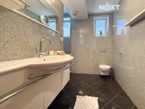 Prodej vícegeneračního domu, České Budějovice, Borovanská, 195 m2