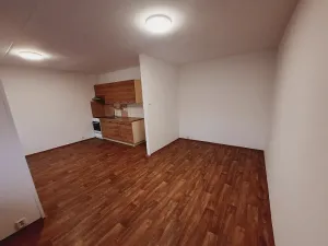 Pronájem bytu 2+kk, Litoměřice, Revoluční, 42 m2