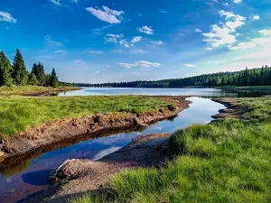 Prodej bytu 1+kk, Janov nad Nisou - Hrabětice, 28 m2