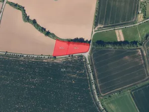 Prodej pole, Dobrčice, 12905 m2