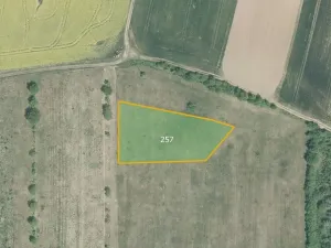 Prodej sadu/vinice, Troubky-Zdislavice, 6725 m2