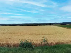 Prodej pole, Plumlov, 22512 m2