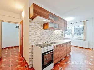 Pronájem bytu 1+1, Nová Včelnice, Na Hliněnce, 43 m2