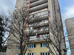 Pronájem bytu 2+kk, Příbram, Školní, 43 m2