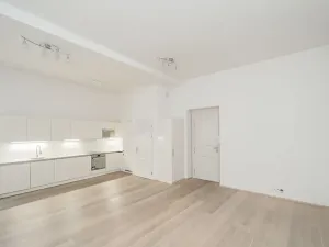 Pronájem bytu 2+kk, Praha - Nové Město, Petrská, 67 m2
