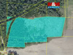 Prodej lesa, Ohaře, 13230 m2