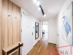 Pronájem bytu 1+kk, Brno, Nové sady, 54 m2