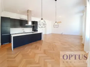 Pronájem bytu 5+kk, Praha - Staré Město, Dušní, 172 m2