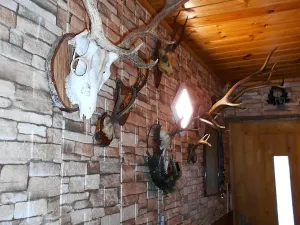 Prodej rodinného domu, Lipnice nad Sázavou, 120 m2