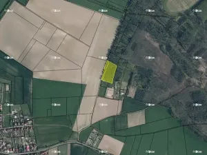 Prodej lesa, Bechlín, 6309 m2