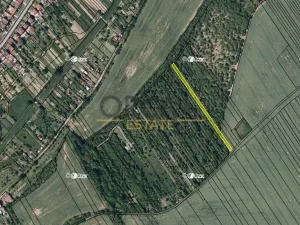 Prodej louky, Březolupy, 1729 m2