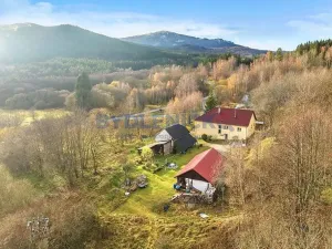 Prodej vícegeneračního domu, Ktiš, 456 m2