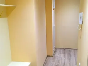 Pronájem bytu 3+1, Praha - Vinohrady, Máchova, 100 m2