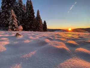 Prodej rodinného domu, Kvilda, 408 m2