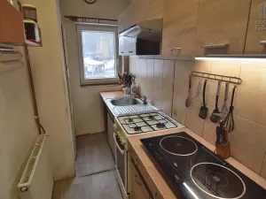 Prodej rodinného domu, Borovany - Radostice, 130 m2