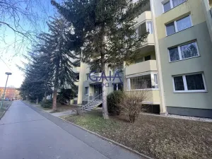 Pronájem bytu 1+1, Veselí nad Moravou, Hutník, 31 m2