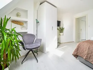 Prodej bytu 2+1, Praha - Nové Město, Školská, 55 m2