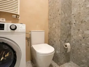 Pronájem bytu 1+kk, Beroun, U Židovského hřbitova, 41 m2