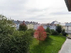 Pronájem bytu 1+1, Ostrava, Newtonova, 45 m2