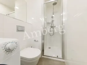 Pronájem bytu 1+kk, Praha - Vinohrady, Perucká, 26 m2