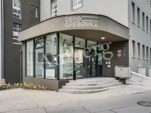 Pronájem bytu 1+kk, Praha - Vinohrady, Perucká, 26 m2