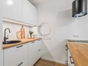 Prodej bytu 2+kk, Praha - Nusle, Plamínkové, 41 m2
