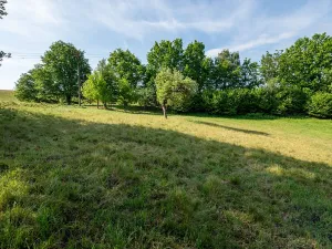 Prodej pozemku, Dubnice, 4776 m2