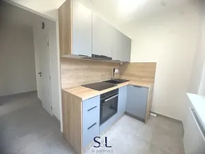 Pronájem bytu 1+1, Liberec, Česká, 38 m2