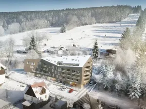 Prodej bytu 2+kk, Železná Ruda, 64 m2