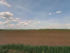 Prodej podílu pole, Vyšehořovice, 1785 m2