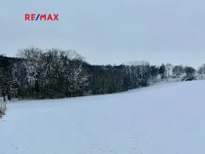 Prodej podílu pole, Bořanovice, 3949 m2