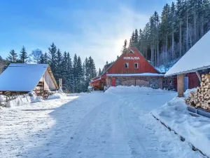 Prodej chalupy, Vítkovice, 500 m2