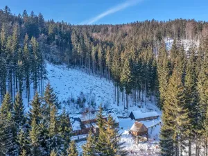 Prodej chalupy, Vítkovice, 500 m2