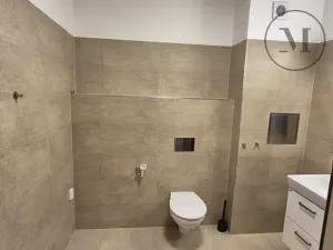 Pronájem bytu 1+kk, České Budějovice, Skuherského, 45 m2