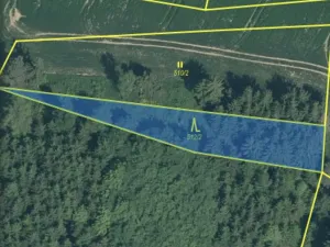 Prodej lesa, Čepřovice, 982 m2
