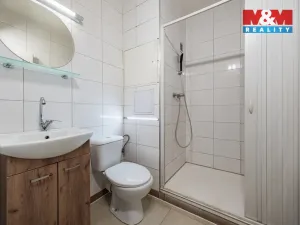 Prodej bytu 1+1, Strakonice - Strakonice I, Mlýnská, 39 m2