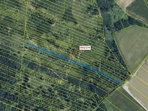 Dražba lesa, Nová Hradečná, 6275 m2