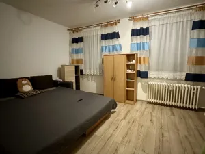 Pronájem bytu 2+1, Roudnice nad Labem, Bořivojova, 55 m2