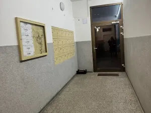 Pronájem bytu 1+1, Praha - Vinohrady, Řipská, 47 m2