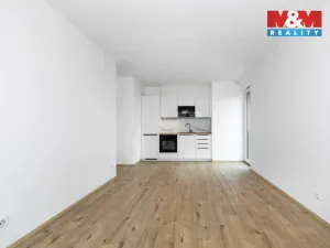 Pronájem bytu 2+kk, Plzeň, Safírová, 45 m2