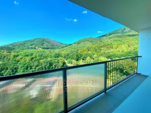 Pronájem bytu 2+1, Osek, Hrdlovská, 62 m2