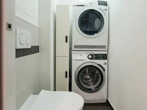 Prodej bytu 3+1, Brno, Schwaigrova, 79 m2