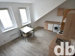 Pronájem bytu 1+1, Karlovy Vary, Sokolovská, 60 m2