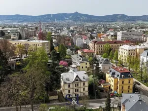 Pronájem bytu 1+kk, Liberec, Klostermannova, 20 m2