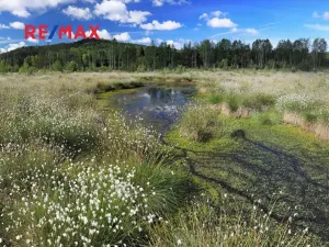 Prodej ubytování, Volary, K. V. Raise, 392 m2