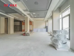 Pronájem obchodního prostoru, Praha - Nové Město, Hybernská, 526 m2