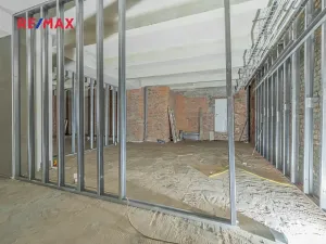 Pronájem obchodního prostoru, Praha - Nové Město, Hybernská, 526 m2