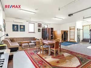 Prodej komerční nemovitosti, Pavlov, 245 m2