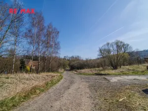 Prodej výrobních prostor, Radkov, 13527 m2